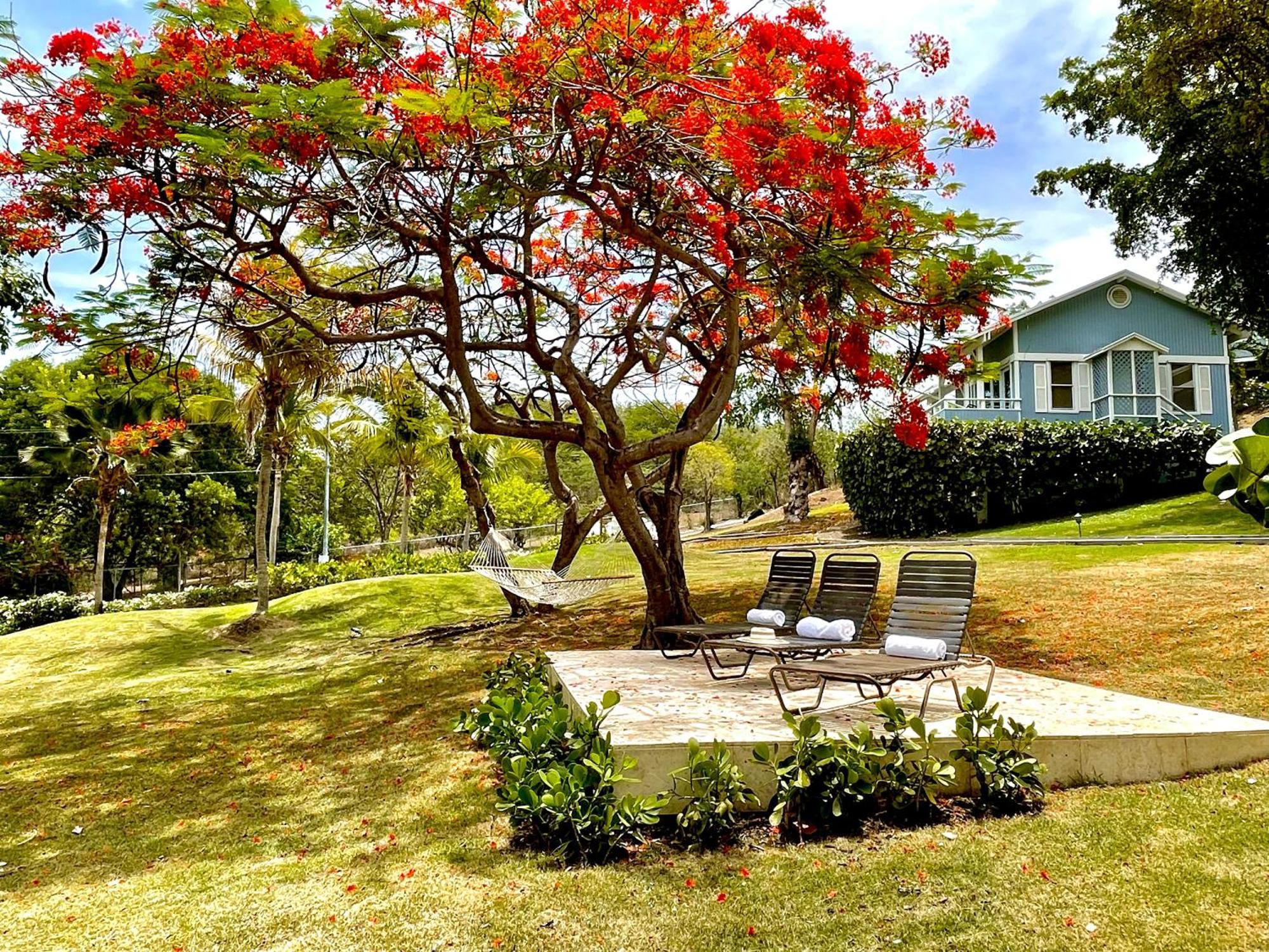 Club Seabourne Hotel Isla Culebra Buitenkant foto